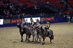 Quadrille - 00881